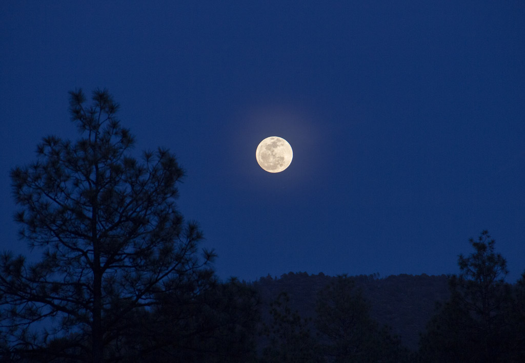 Full moon at dusk