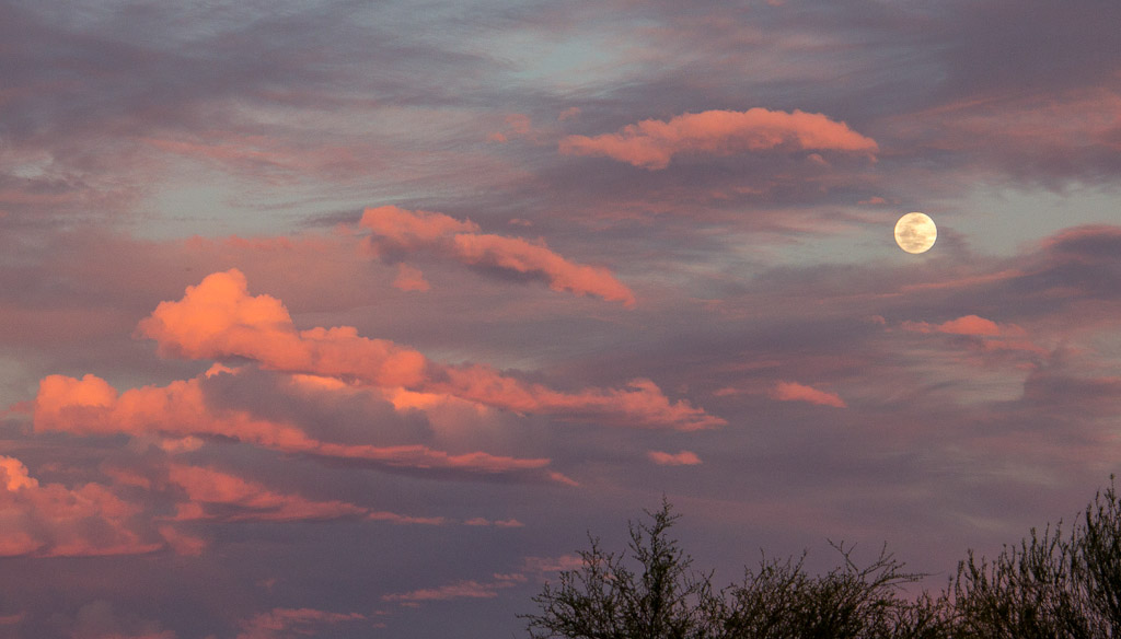 Pink Cloud Moon 1