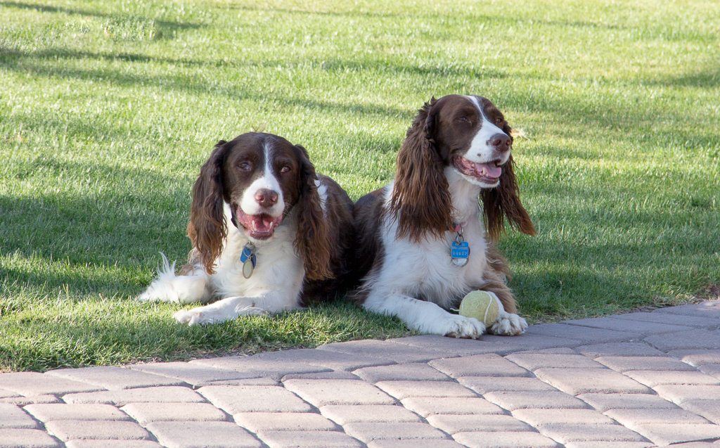 Darby & Maggie