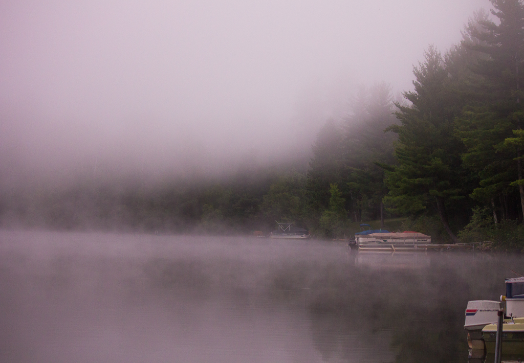 Foggy Lake Morning