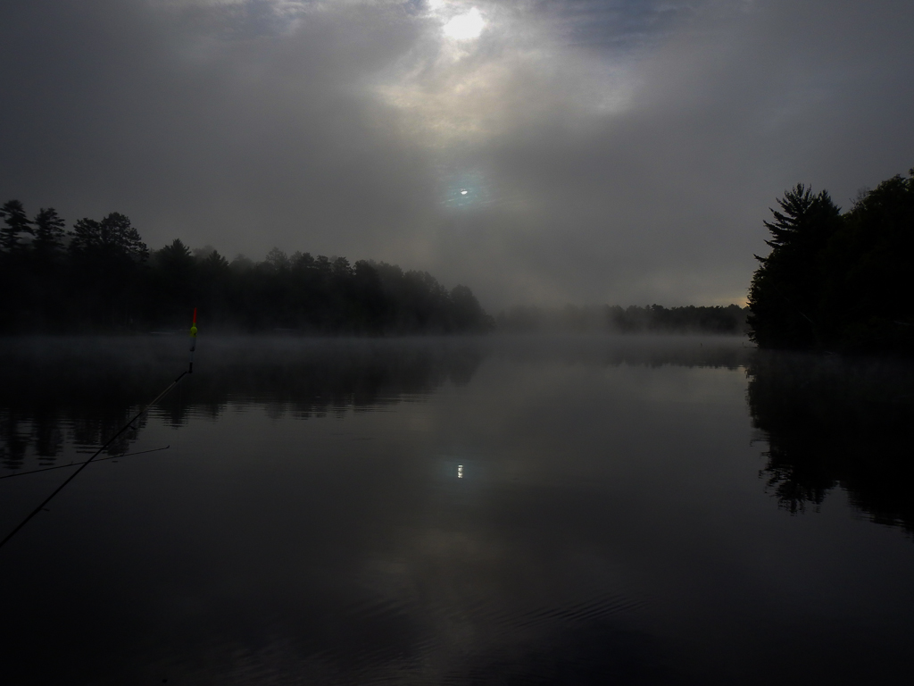 Foggy Fishing