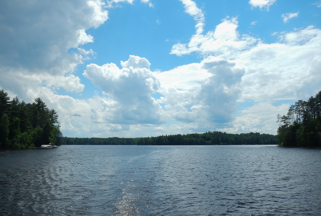 Lake Afternoon