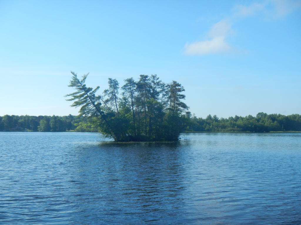 Leaning Tree Island